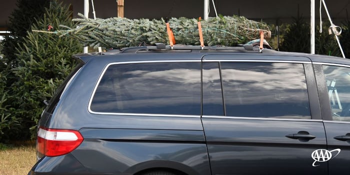 How to Get Your Christmas Tree Home Safely