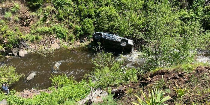 Pup Travels 4 Miles To Alert Others Of Car Wreck