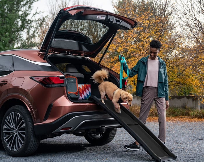 Lexus Offers Pet Accessories For Safety