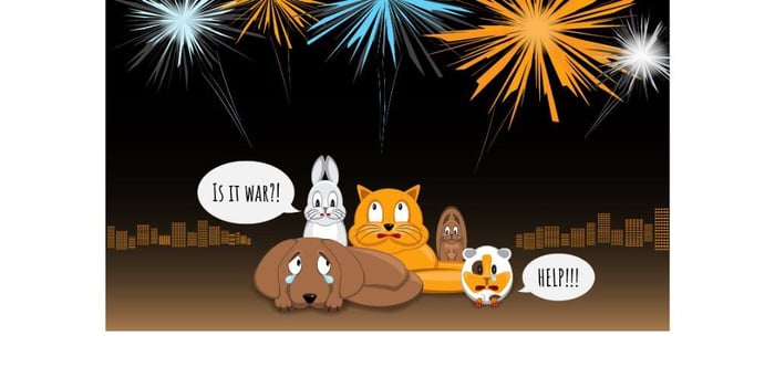 Your Pets And The Dangers Of Fireworks