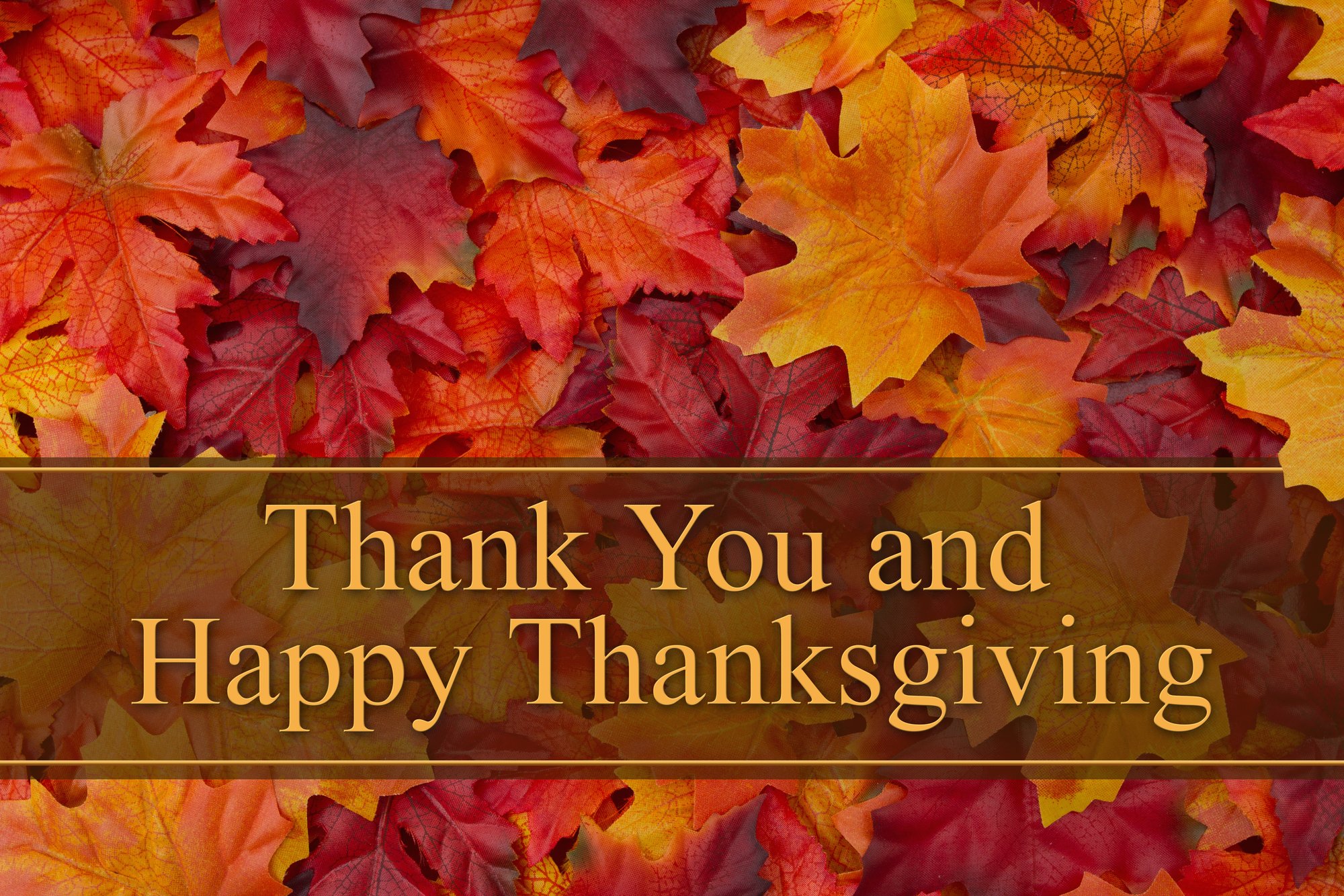 thanksgiving-message-from-jerry-reynolds-the-car-pro