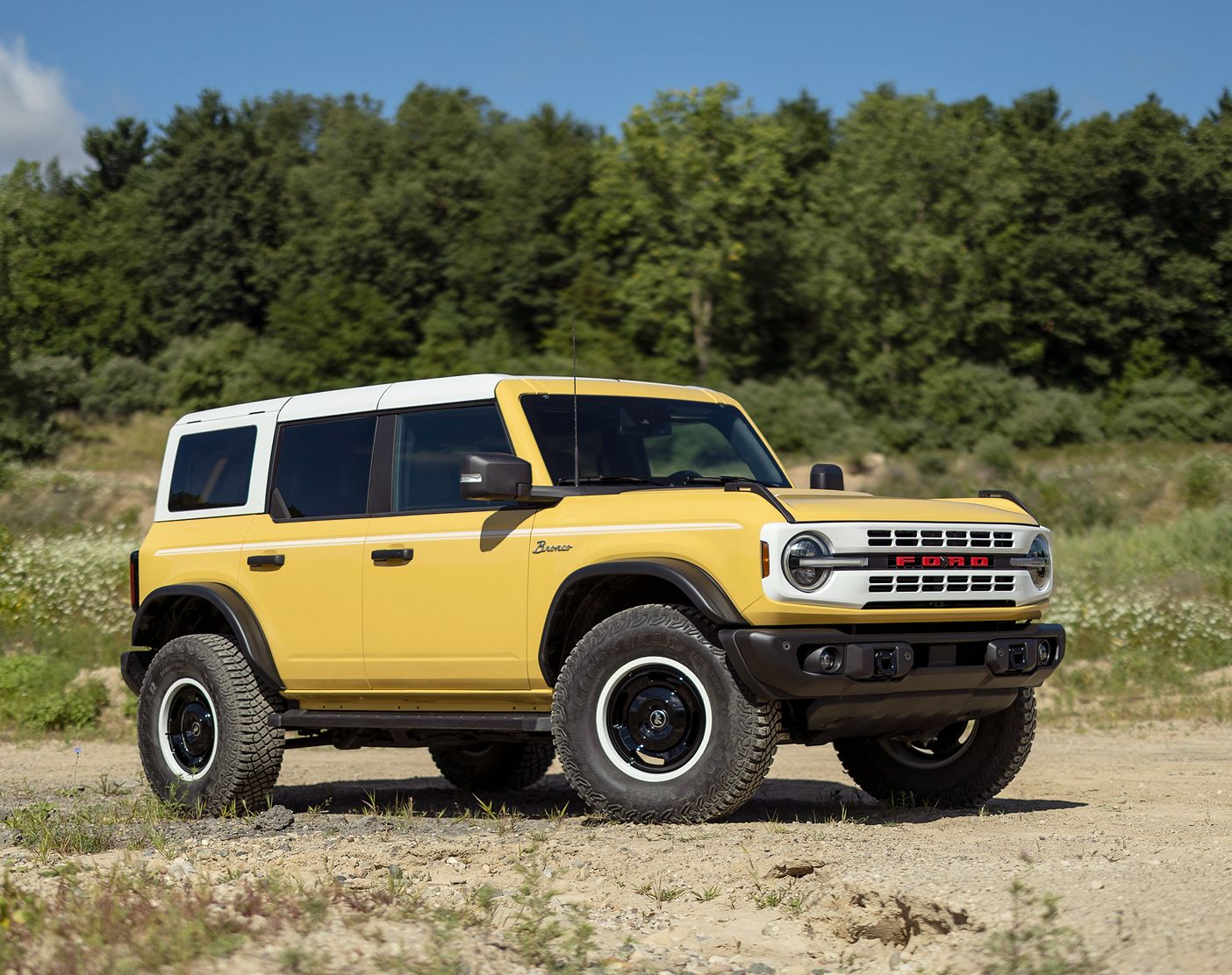 Ford Bronco r